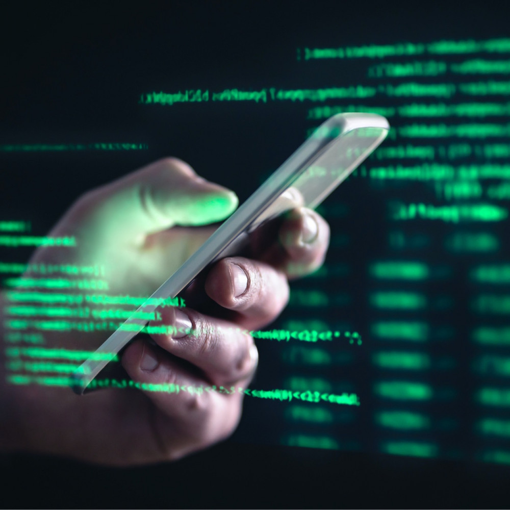 2477 img identity fraud